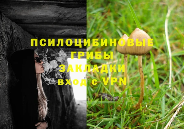 а пвп мука Корсаков